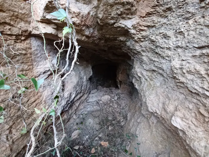 La tercera boca, a les roques del pany, a peu del camí de Penyafort. Arc de mig punt obert a la roca, avui cobert de vegetació.