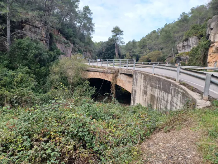 El pont de les Mines sobre la riera, entre les cingleres que Castellanos descrivia com «inmensos blochs calcaris horisontals».