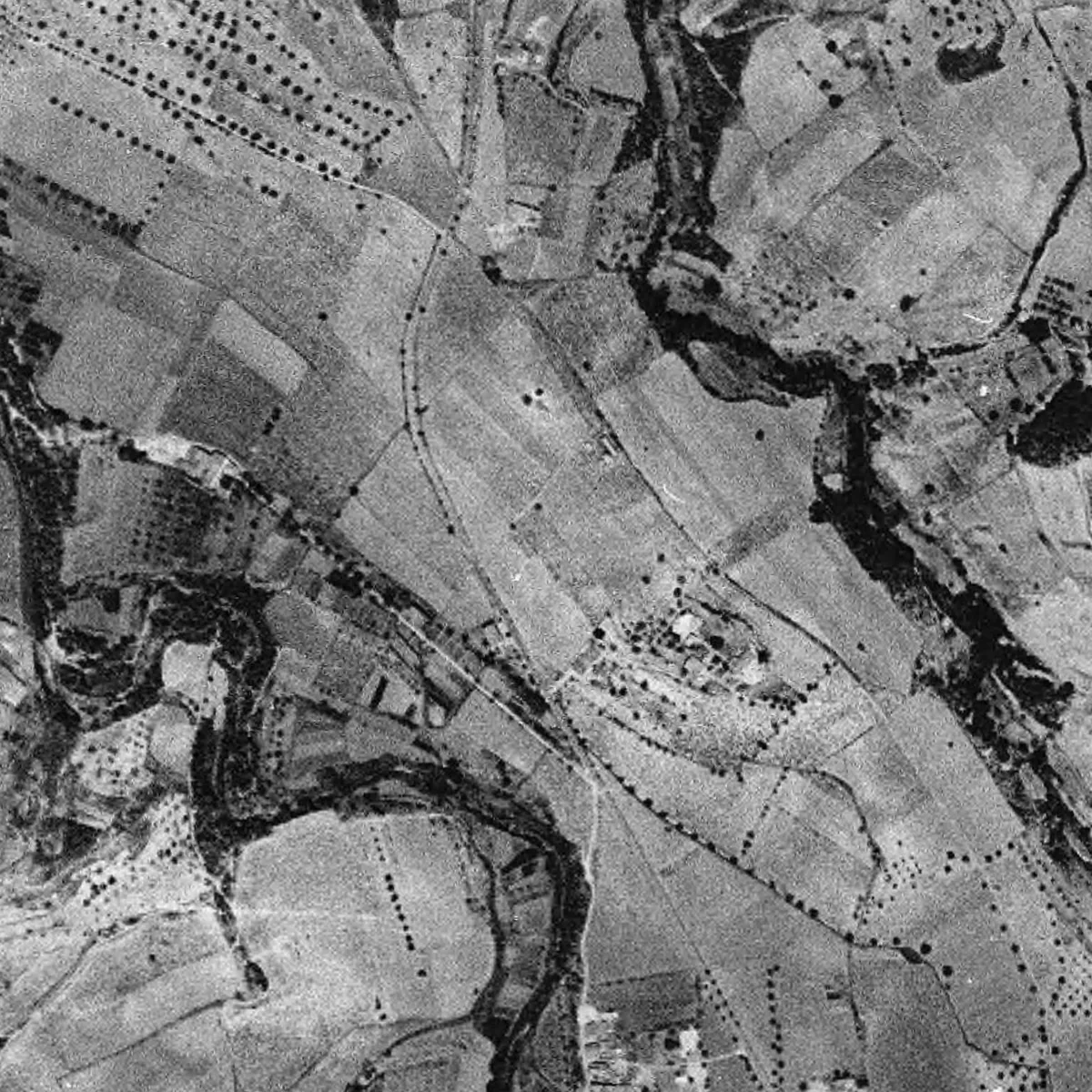 El terme vist des de l'aire l'any 1946