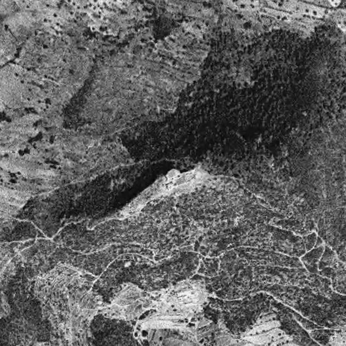 El santuari vist des de l'aire l'any 1946